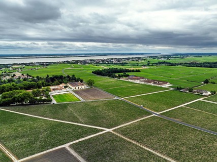 Chateau Pontet-Canet Vineyard and grape fields around Pauillac and Gironde Estuary from a drone,