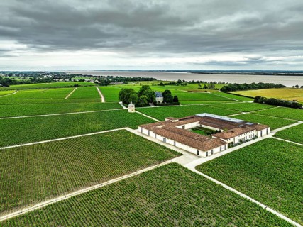 Chateau Latour Vineyard and grape fields around Pauillac from a drone, Bordeaux, Gironde,