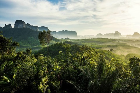 Panorama, Din Daeng Doi, sunrise, Krabi, Thailand, Asia