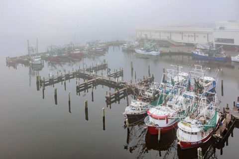 Commercial shrimp boats at the dock in the commercial area of the Biloxi Small Craft Harbor in