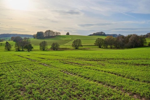Wide green landscape with trees and hills under a cloudy sky, Winterkasten, Lindenfels, Bergstrasse