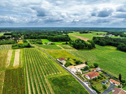 Vineyards and grape fields around Bordeaux from a drone, Saint-Mariens, Gironde,
