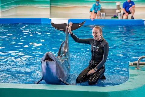 Trainers working with Dolphins during show at Ocean Adventures Marine Park in Gulfport, Mississippi