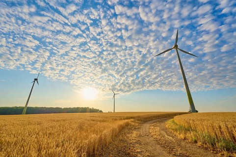 Wind turbines in a wheat field under a blue sky and sunshine, summer, Höhefeld, Wertheim,