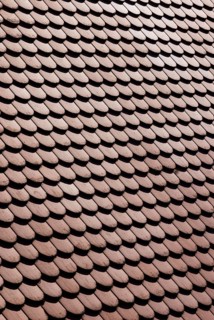 Red shingle roof, house roof, detail, Steyr, Upper Austria, Austria, Europe