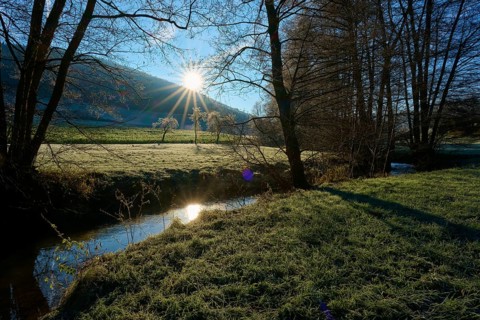 Sunlight breaks through the trees and is reflected in the stream of a tranquil landscape,