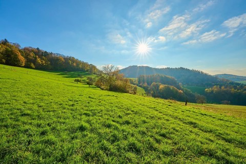 Sunny hills with autumnal vegetation under a bright sky, Vöckelsbach, Mörlenbach, Bergstrasse
