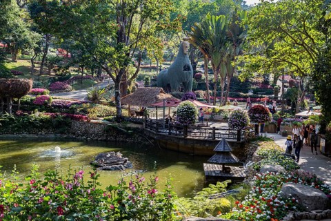 Llama tree at Mae Fah Luang Gardens within the Doi Tung tourist attraction in Chiang Rai, Thailand,