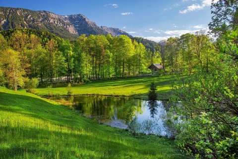 Small pond in the park of Linderhof Castle in spring, municipality of Ettal, Ammergau Alps,