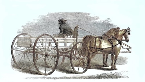 An automatic rein holder on the carriage of a team of horses, which forces the horses to stop when
