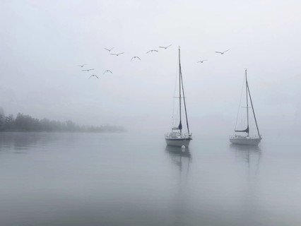 Sailboats on Lake Starnberg in foggy weather, a group of seagulls flies above, Bavaria, Germany,