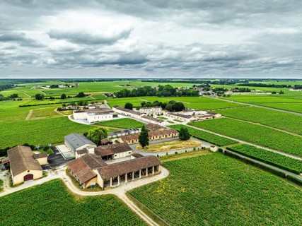 Vineyard of Chateau Branaire-Ducru from a drone, Saint-Julien-Beychevelle, France, Europe