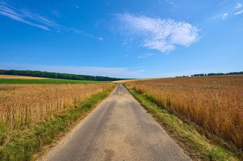 Long field path through cornfields under a blue sky with light clouds, summer, Retzstadt, Main