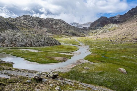 Mountain stream meanders through high mountain landscape on the Upper Senner Egete between meadows