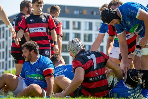 Rugby 1st Bundesliga South/West, 2024/25 season, final phase semi-final: SC Frankfurt 1880 vs SC