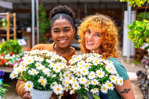 Two happy multi ethnic female garden center workers holding pots of white daisies smiling at the