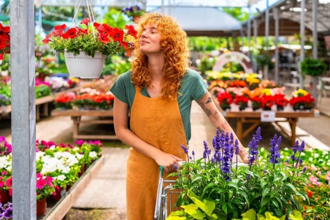 Redhead woman gardener smelling red petunias while pushing a cart in a colorful greenhouse full of