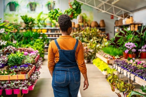 Gardener walking through a vibrant greenhouse, carefully selecting a variety of flourishing plants