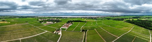 Panorama of Chateau Pontet-Canet Vineyard and grape fields around Pauillac and Gironde Estuary from