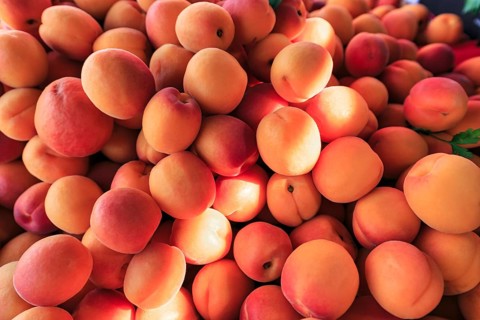 Fresh apricots (Prunus armeniaca) at a market stall, Mulhouse, Alsace, Mulhouse, Alsace, France,