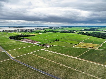 Chateau Pontet-Canet Vineyard and grape fields around Pauillac and Gironde Estuary from a drone,