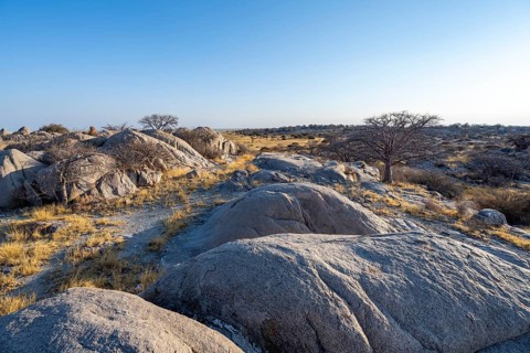 Round rocks and baobabs (Adansonia digitata) on Kubu Island with a view over the salt pan in the
