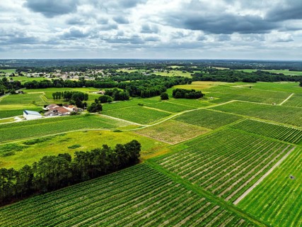 Vineyards and grape fields around Bordeaux from a drone, Saint-Mariens, Gironde,