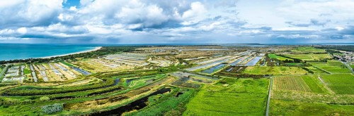 Panorama of The Lilleau des Niges National Nature Reserve from a drone, The salt marshes,
