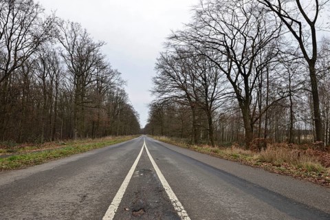 Where does the road lead... View over the already closed old L276 road in Hambach Forest. The