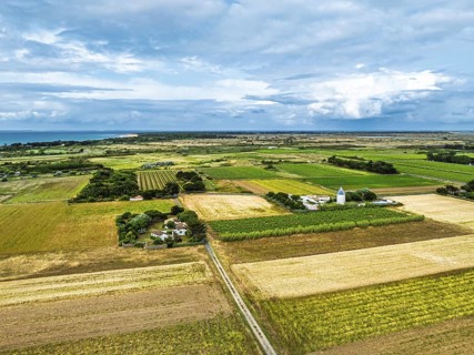 Fields and Grape plantations from a drone, Saint-Clement-des-Baleines, Atlantic, France, Europe