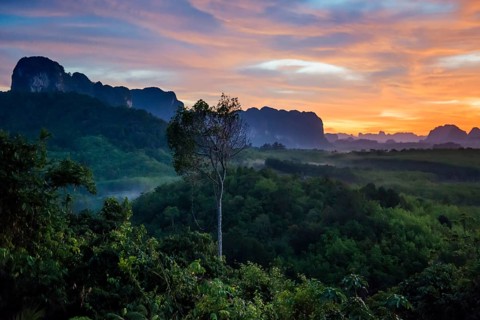 Panorama, Din Daeng Doi, sunrise, Krabi, Thailand, Asia