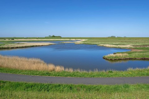 Path and pond in brackish polder at nature reserve Zandkes from Natuurmonumenten near