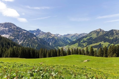 Green, expansive meadows in the Alps with gently sloping mountains in Kleinwalsertal, Austria,