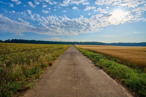 Long road between flowering fields under a sky full of dramatic clouds, summer, Höhefeld, Wertheim,