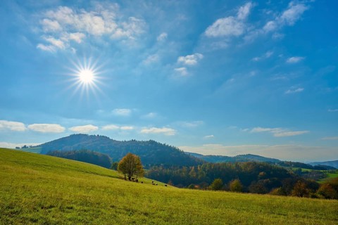Sunny landscape with hills and trees under a clear blue sky, Vöckelsbach, Mörlenbach, Bergstrasse