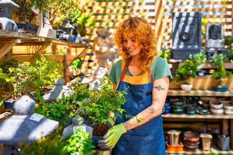 Female gardener wearing gloves, carefully holding a small bonsai tree while tending to plants in a