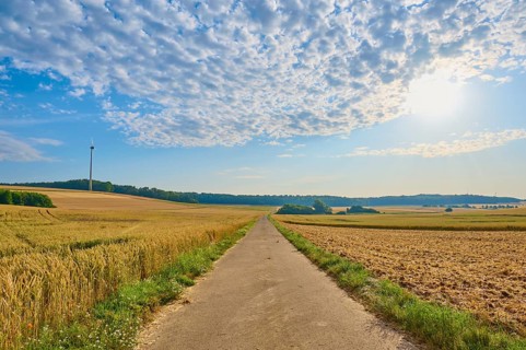 A tarmac track between fields under a sunny, cloudy sky, summer, Höhefeld, Wertheim,