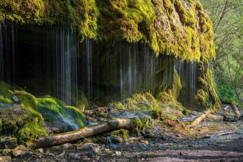 Dietfurt Waterfall, a moss waterfall in the Wutach Gorge, Black Forest, Baden-Württemberg, Germany,