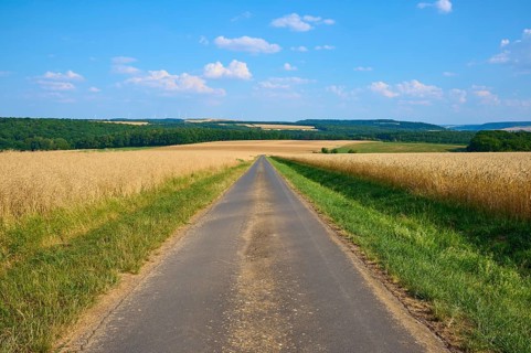Long country road through golden and green fields under a blue sky with white clouds, summer,