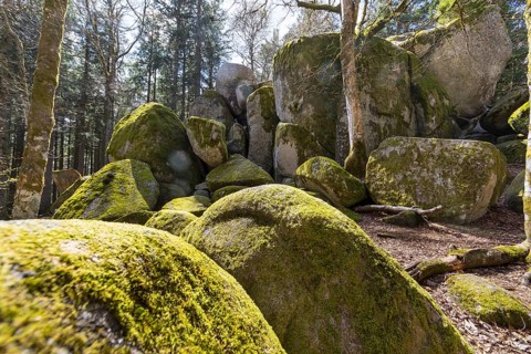 Granite rock Günterfelsen near the source of the Danube, Furtwangen in the Black Forest,