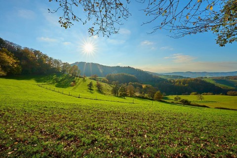Sunlight falls on the green meadows of a hilly landscape under a clear blue sky, Vöckelsbach,