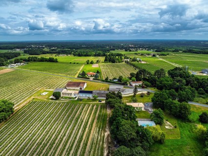 Vineyards and grape fields around Bordeaux from a drone, Saint-Mariens, Gironde,