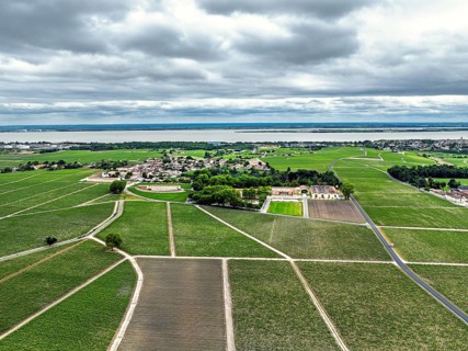 Chateau d'Armailhac Vineyard and grape fields around Pauillac and Gironde Estuary from a drone,