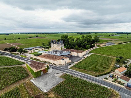 Chateau Pichon Longueville Baron Vineyard and grape fields around Pauillac from a drone, Bordeaux,