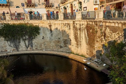 Largo Aretusa, Fonte Aretusa, scenic bridge over water with walkers and plants in the city centre,