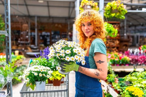 Redhead gardener woman holding a pot with white daisies in a greenhouse, gardening, small business