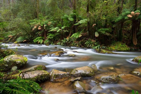 The popular Hopetoun Falls and surrounds after fierce winter storms near Lorne, Victoria,