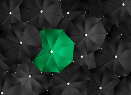 Concept image with lots of black umbrellas and a green umbrella that stands out, be unique