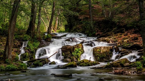 Selke Waterfall in the Harz Mountains Waterfall