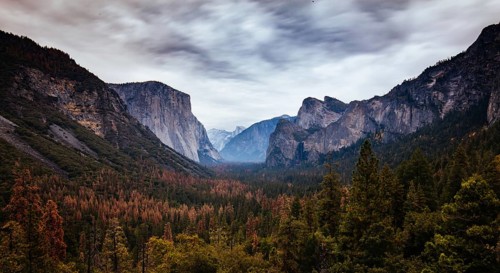 The iconic view of Yosemite Valley and the magnificent El Capitan in a storm from Tunnel View in